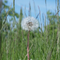 Is het al zomer?
