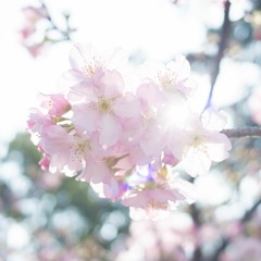 B - 091 這時刻我獻上禱告(韓文)