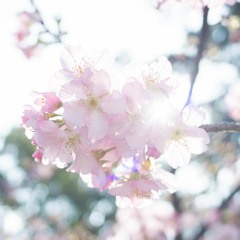 B-089 為何阻擋