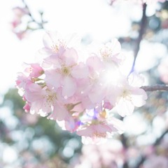 069 攝理宮殿(日文)
