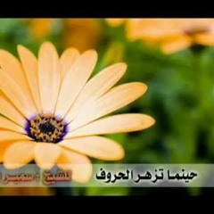 حينما تزهر الحروف ۩ للشيخ/ سمير مصطفى
