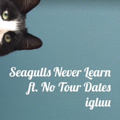 Seagulls Never Learn ft. No Tour Dates