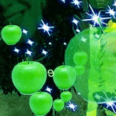 Oded Peled - Puhdistus 24.3.2016