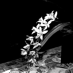 Takako Mamiya-mayonaka-no-joke-rmx