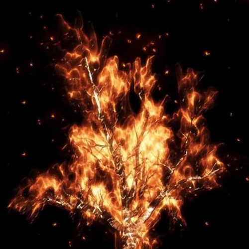 وصف النار  ۩ للشيخ/ سمير مصطفى