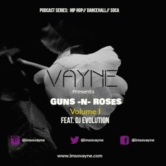 VAYNE Presents: GUNS -N- ROSES Volume I feat. DJ Evolution
