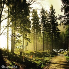 PILWTLK (Pillow Talk Cover)