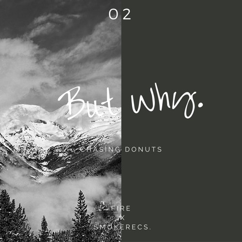 Chasing Donuts - But Why [Smoke Recs. X Fire Exclusive]