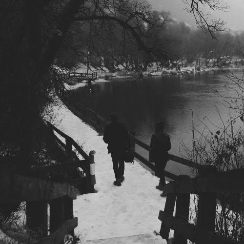 everything i never wanted to tell you