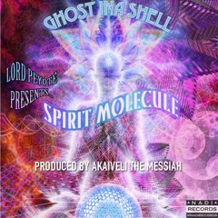 Spiirit Molecule (Prod by Akaiveli) Ft Bozé