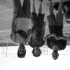 Die Zappa - Danse La Cuisine V