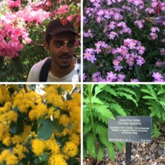 I'm Soft AF 2016 (Mix)