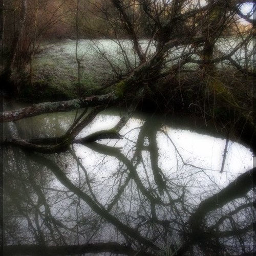 L'Ombre (The shadow)