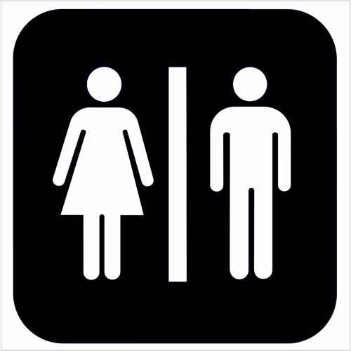 Stream The History of GenderSegregated Bathrooms by Bitch Media Listen online for free on