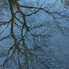 Open Awareness (Ambient/Pop/Orchestral Hybrid)