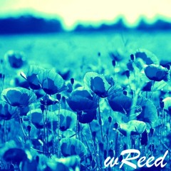 MARCO- Poppy ft. wReed