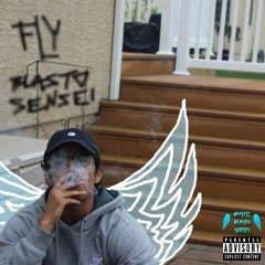 Fly (Prod. Blasto)
