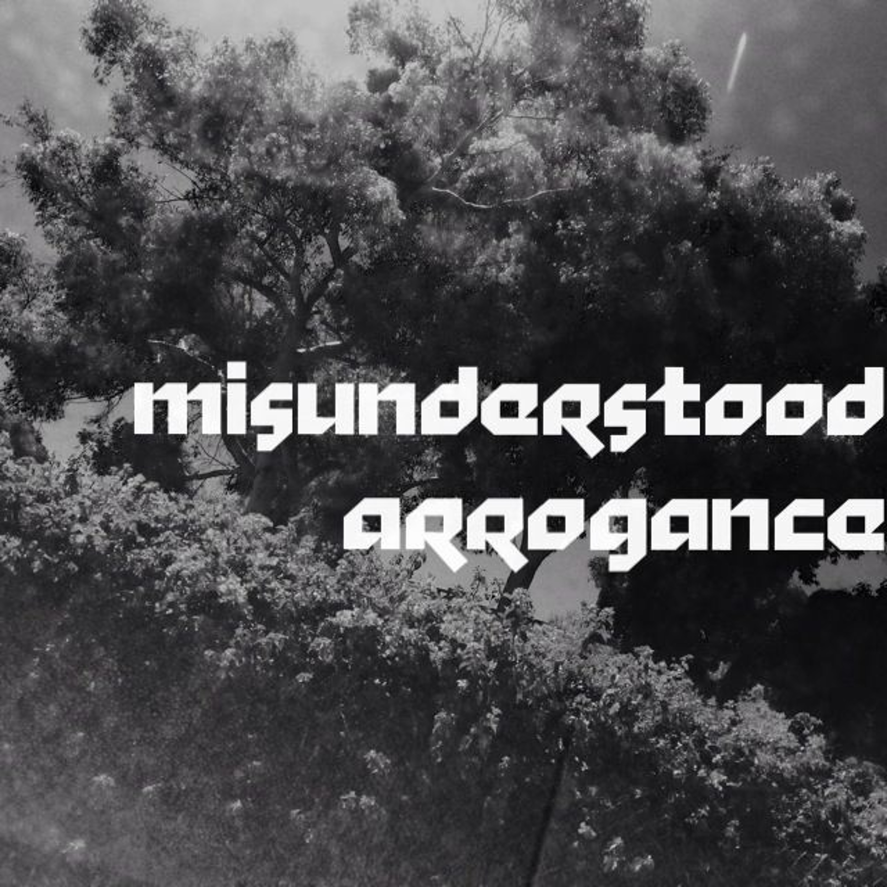Sliiiiiiiiiiiiiiiiiiiirrrrrrrrrrrrrd - Misunderstood Arrogance episode artwork