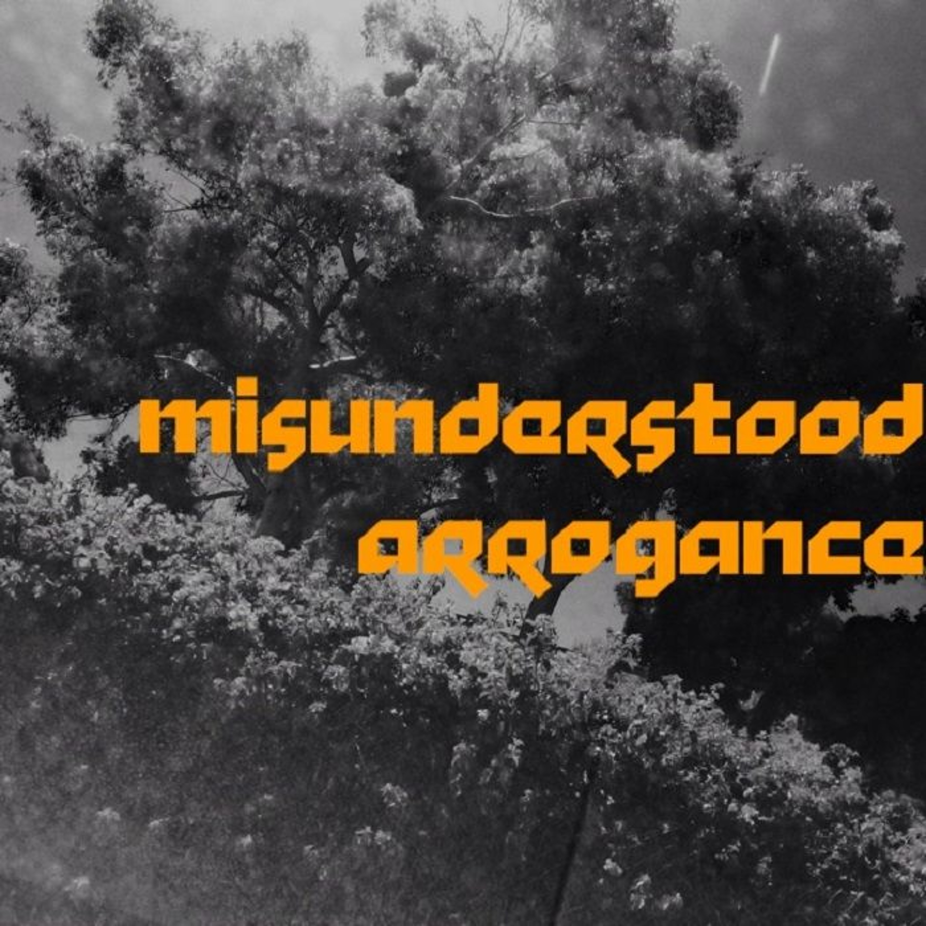 09 CTA (Freestyle) - Misunderstood Arrogance episode artwork