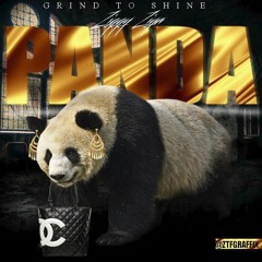 Ziggy Ziya - Panda Freestyle