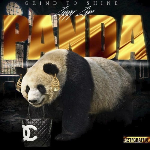 Ziggy Ziya - Panda Freestyle