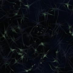 Drift - Billy Guitar