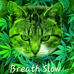 Breath Slow Ft. Rahzel & Dj Mugs