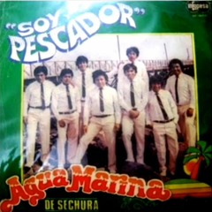 AGUA MARINA - CELOSA