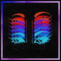 Late Night Swim Club