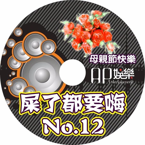 Ap娛樂 - 屎了都要嗨No.12(母親節特輯)