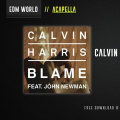 Calvin Harris ft. John Newman - Blame (Acapella)