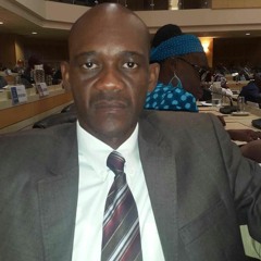 Sebina Councillor Kemmonye Amon, has denied having such a conversation with Minister Molao