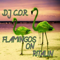 DJ C.O.R.  TECHNO - 6   FLAMINGOS ON RITALIN