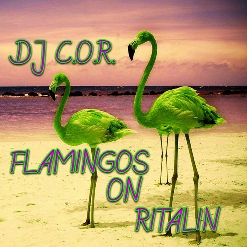DJ C.O.R.  TECHNO - 6   FLAMINGOS ON RITALIN