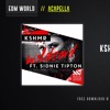 KSHMR Ft. Sidnie Tipton - Wildcard (Studio Acapella) artwork