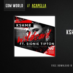 KSHMR Ft. Sidnie Tipton - Wildcard (Studio Acapella)