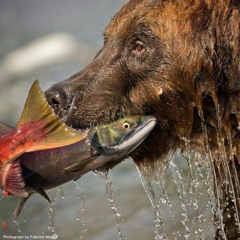 Me And You - Sneaker Thief