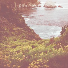 d h a r ā - m i r a
