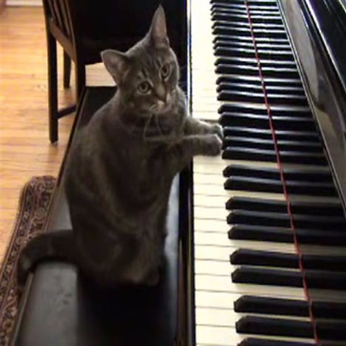 Piano Collection #4a Microtonal (19tet)