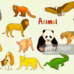 The Animal Sounds Song
