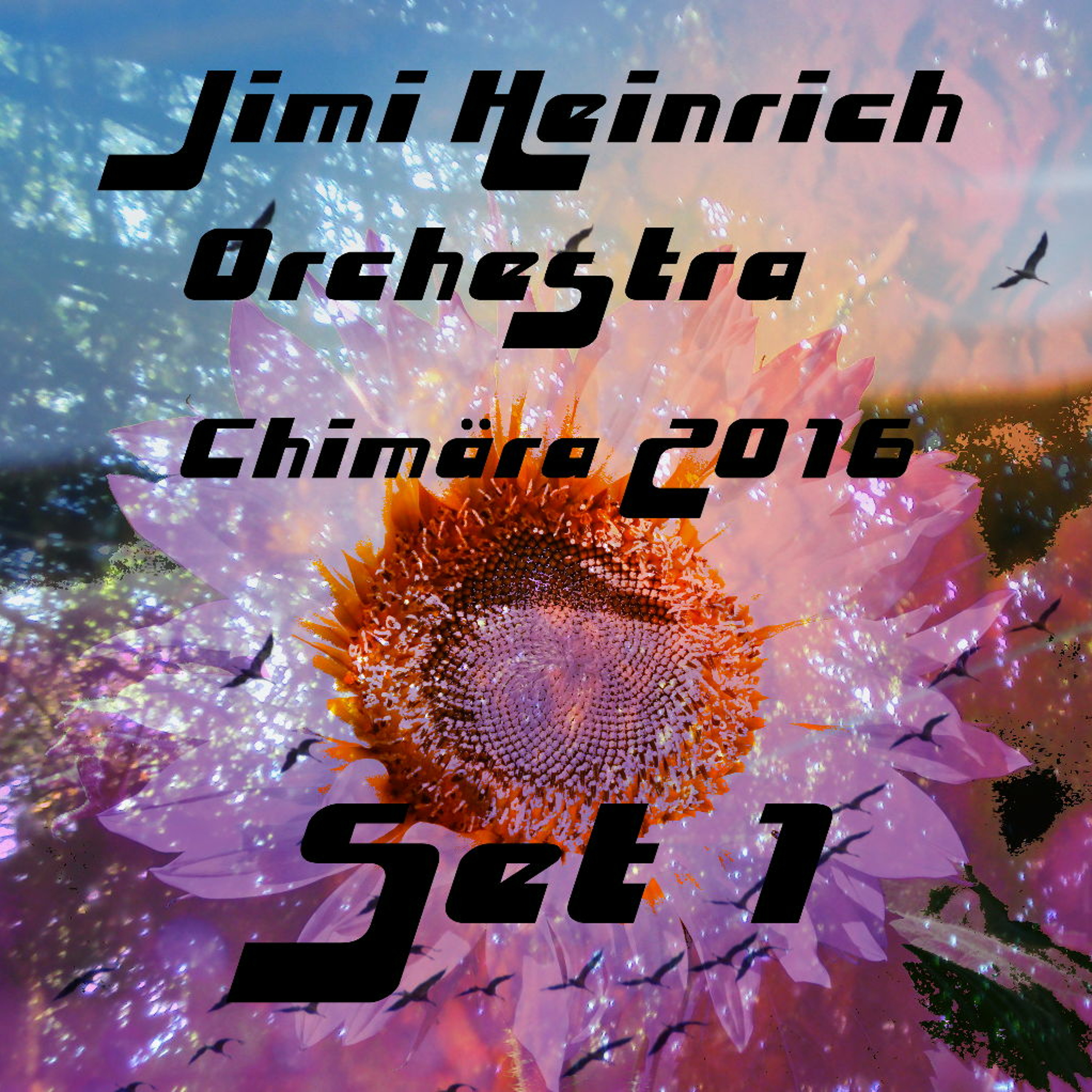 Jimi Heinrich Orchestra
