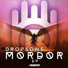 Dropsone - Future (Original Mix)