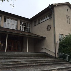 Niederholz Song 2014