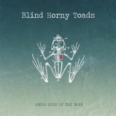 Blind Horny Toads - Living On A Prayer