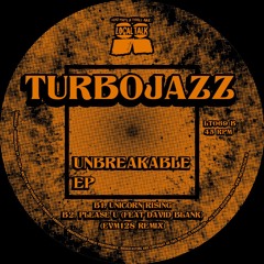 Turbojazz - Please U (Featuring David Blank) (EVM128 Remix) (12'' - LT069, Side B2)