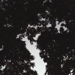 Witnesses (In The Dark) (feat. Claire Edmonds)