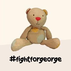 #fightforgeroge Song