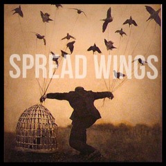spread wings