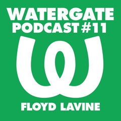 Watergate Podcast #11 - Floyd Lavine