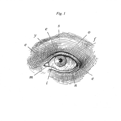 EYES OF MINE - Fig. 1.2